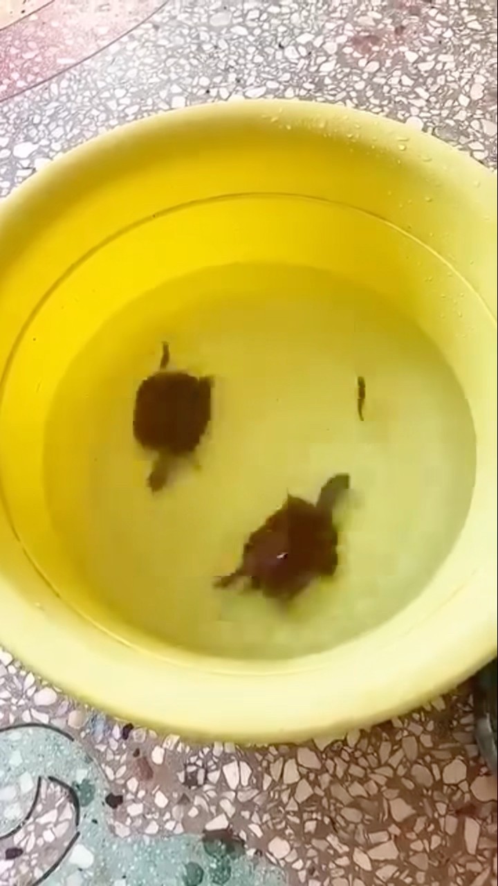 ?